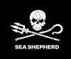 [Sea Shepherd Global]