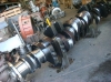 DAIHATSU DIESEL MFG.CO. LTD Crankshaft - standard, with all reports   DS32